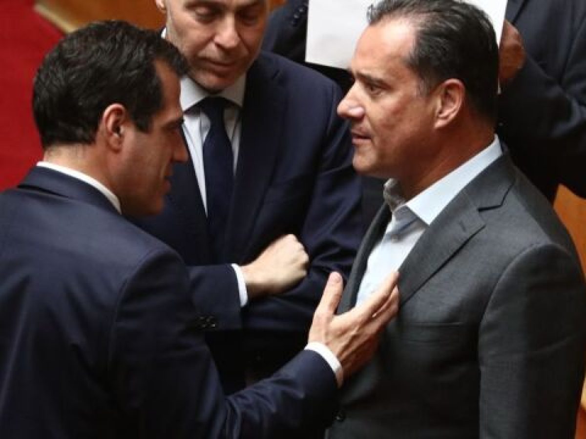 Γεωργιάδης και Πλεύρης κατά Διεθνούς Αμνηστίας και Χάγης: ”Ιδεολογικές αποφάσεις εις βάρος της Δύση