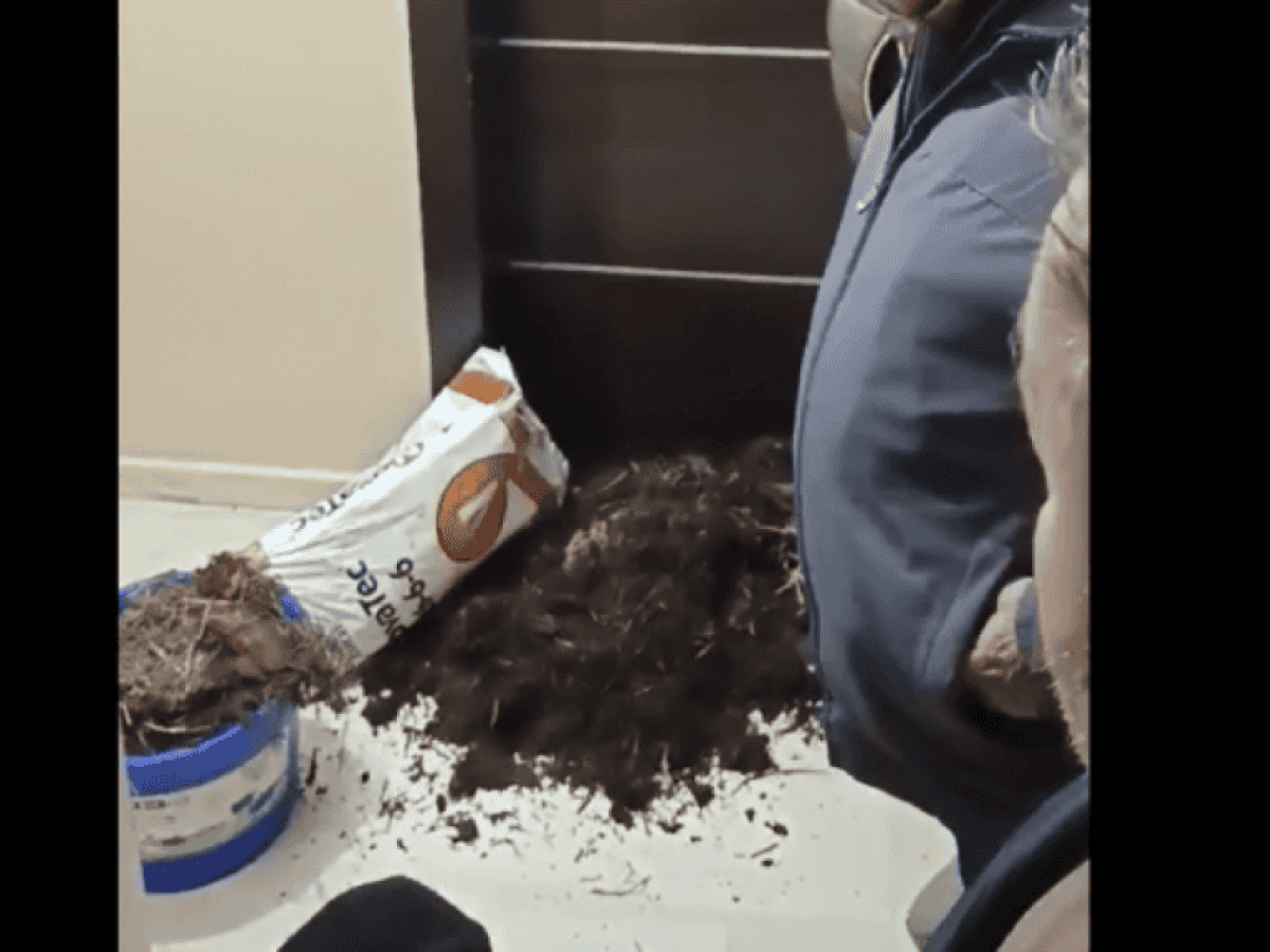 Φλώρινα: Αγρότες πέταξαν άχυρο και κοπριά έξω από το γραφείο του βουλευτή της ΝΔ, Σταύρου Παπασωτηρίου