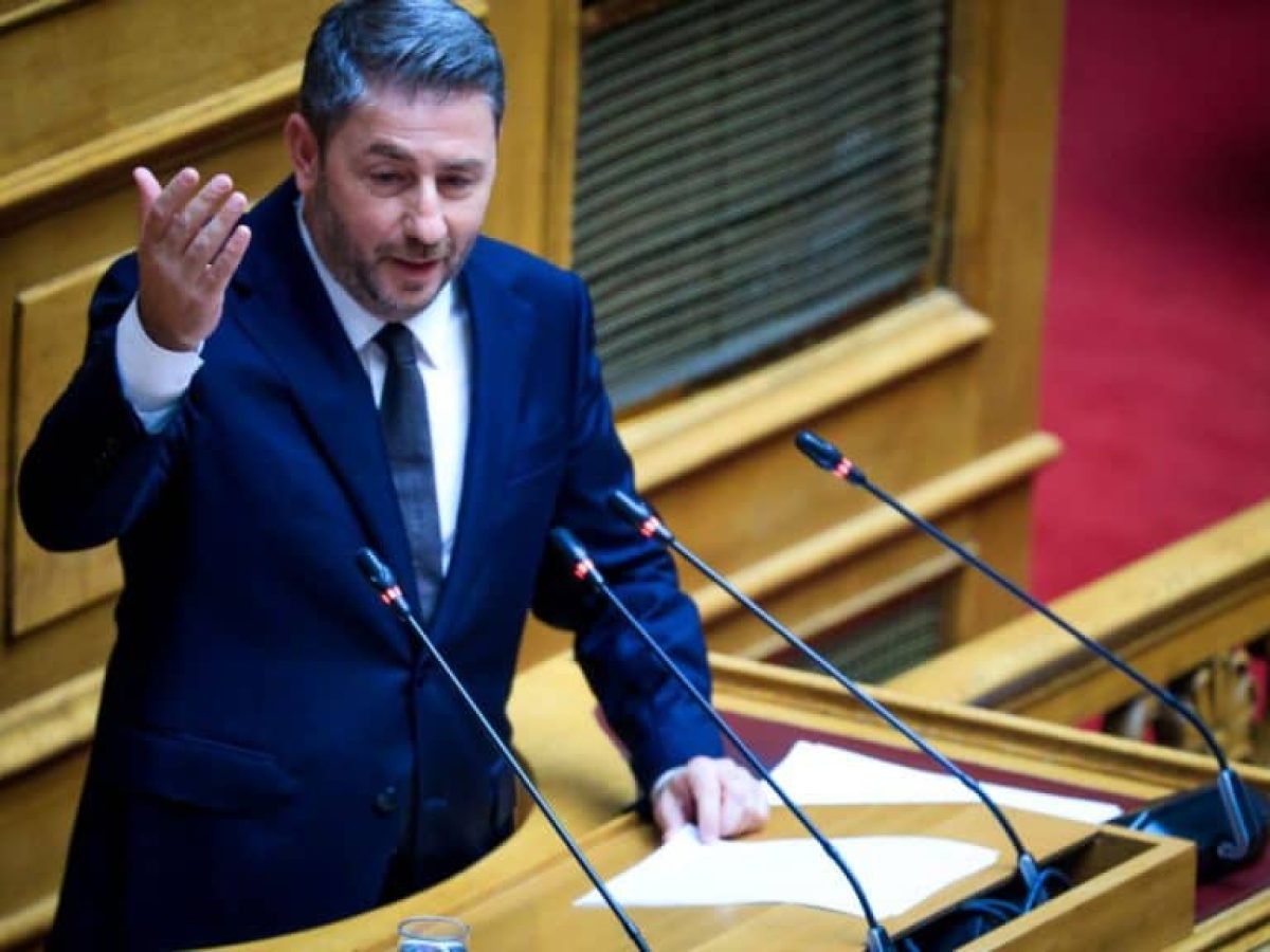 Ν. Ανδρουλάκης: «Νόμοι, κοινωνικό κράτος, κράτος δικαίου και ποιοτική δημοκρατία à la carte»