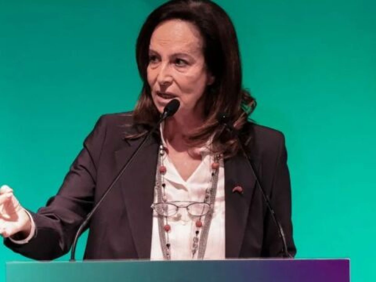 Πώς η Διαμαντοπούλου ανακάτεψε την τράπουλα στο ΠΑΣΟΚ: Οι εκ μεταγραφής βουλευτές, η παλιά καραβάνα και ο πολιτευτής