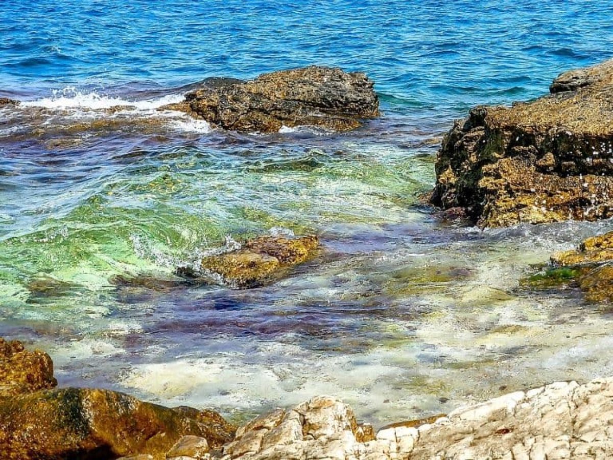 Θαλάσσια Πάρκα: Δημοσιεύτηκαν οι μελέτες για Ιόνιο και νότιο Αιγαίο – “Είμαστε επιχειρησιακά έτοιμοι” λέει ο Παπασταύρου