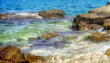 Θαλάσσια Πάρκα: Δημοσιεύτηκαν οι μελέτες για Ιόνιο και νότιο Αιγαίο – “Είμαστε επιχειρησιακά έτοιμοι” λέει ο Παπασταύρου