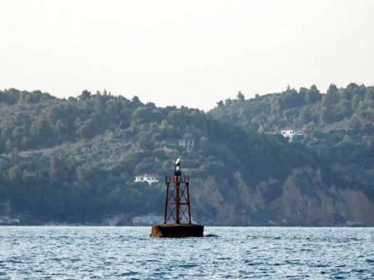 Θαλάσσια Πάρκα: Με τις Περιβαλλοντικές Μελέτες προστατεύεται πάνω από το 35% των θαλασσών μας