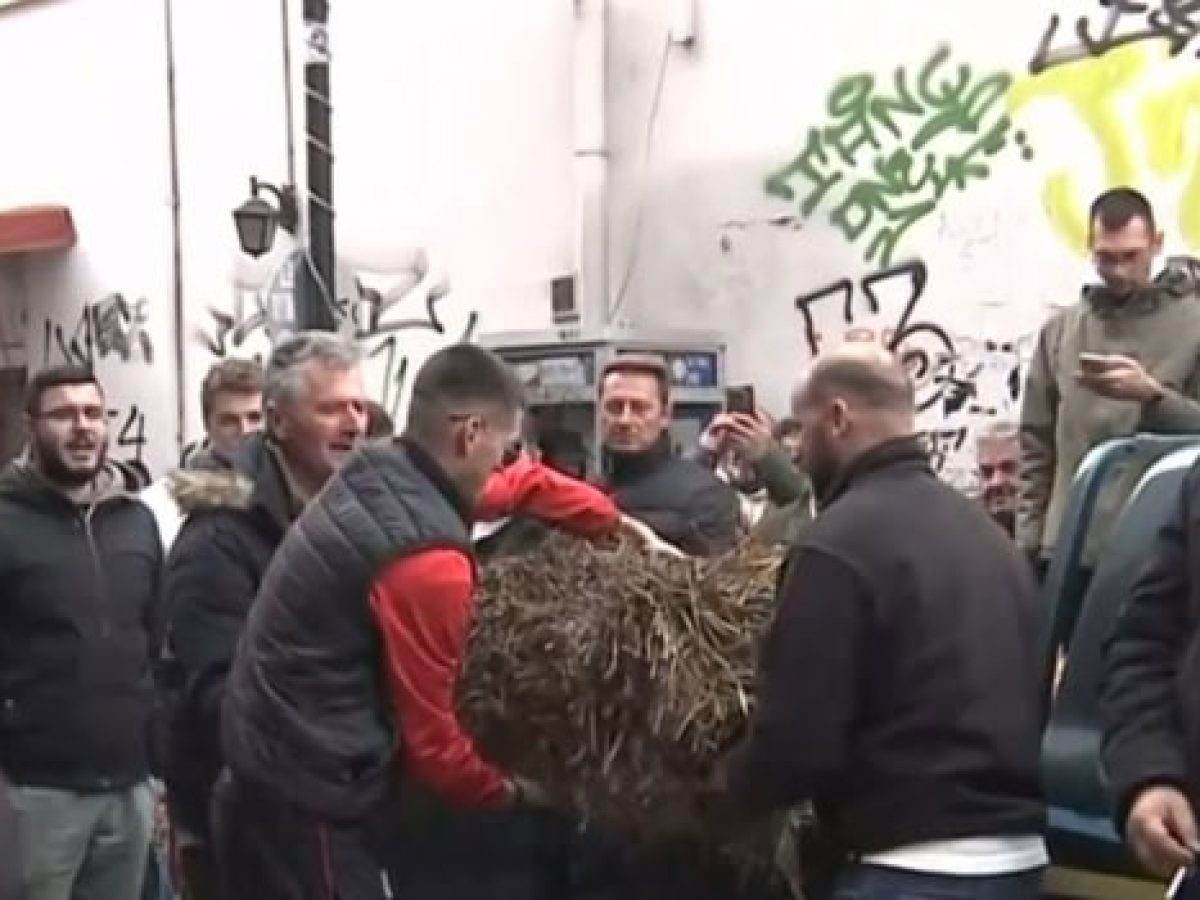 Τρίκαλα – Αγρίνιο: Στα γραφεία κυβερνητικών βουλευτών αγρότες – Πέταξαν πορτοκάλια, σανό και κοπριά