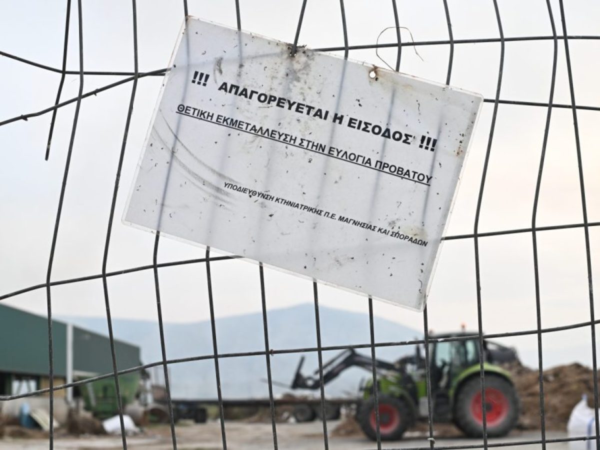 Ευλογιά των αιγοπροβάτων: Τι αποφασίστηκε στη σύσκεψη υπό τον Μητσοτάκη