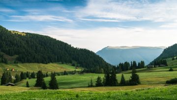 Τι πρεσβεύει ο Λαϊκισμός ως ιδεολογία;