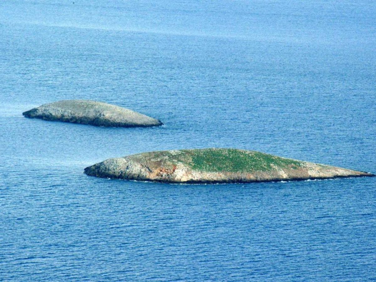 Ίμια: Η νύχτα που σημάδεψε την Ιστορία