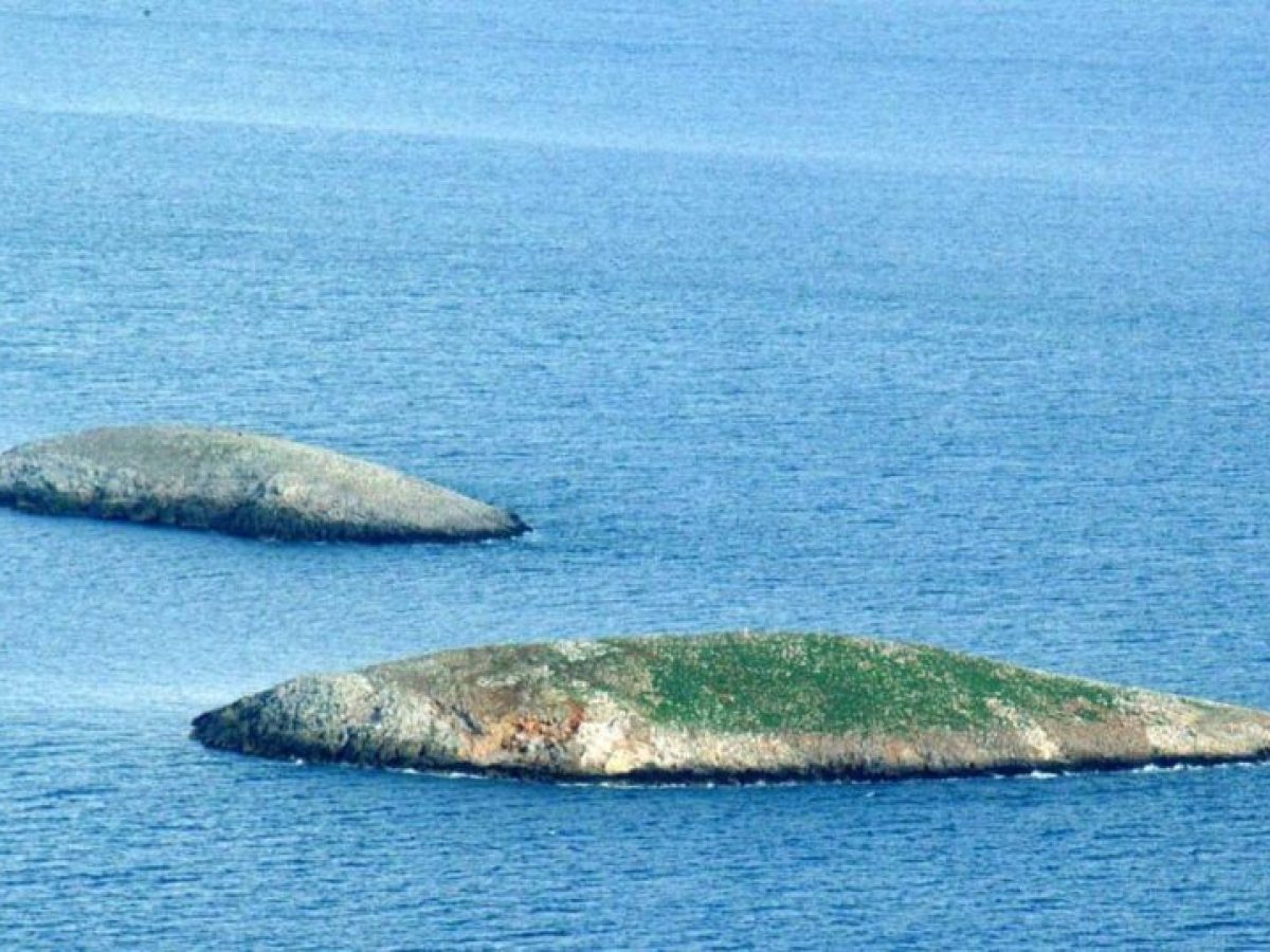 Κωνσταντίνος Τασούλας για Ίμια: Σήμερα τιμούμε τις ήρωες