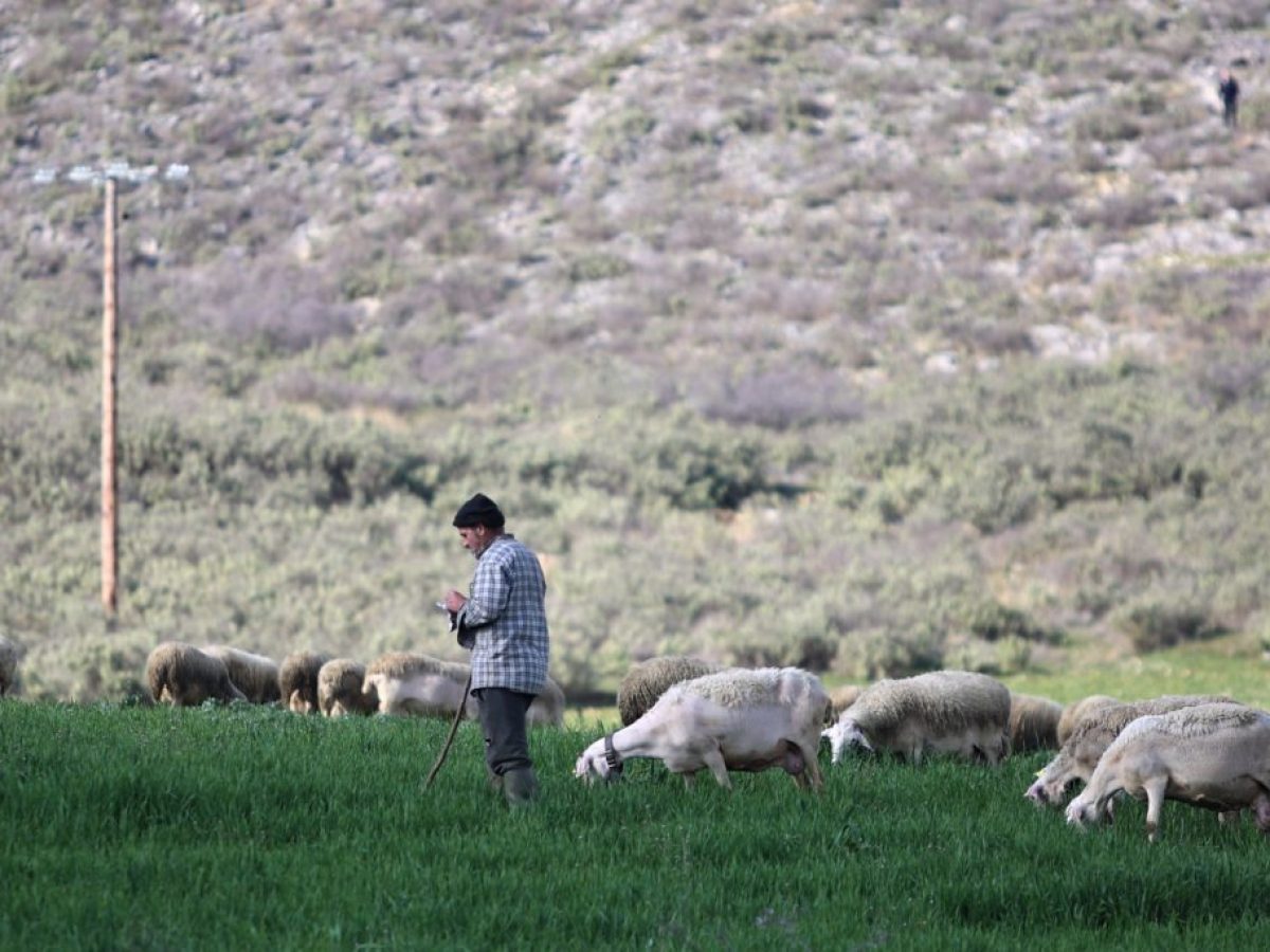 Μητσοτάκης στη σύσκεψη για την ευλογιά των αιγοπροβάτων: «Δεν συζητάμε καθόλου ζητήματα εμβολιασμού»