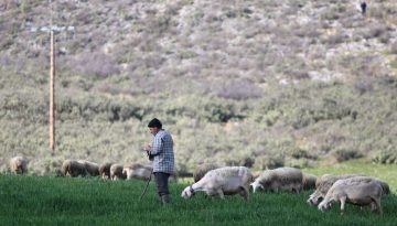 Μητσοτάκης στη σύσκεψη για την ευλογιά των αιγοπροβάτων: «Δεν συζητάμε καθόλου ζητήματα εμβολιασμού»