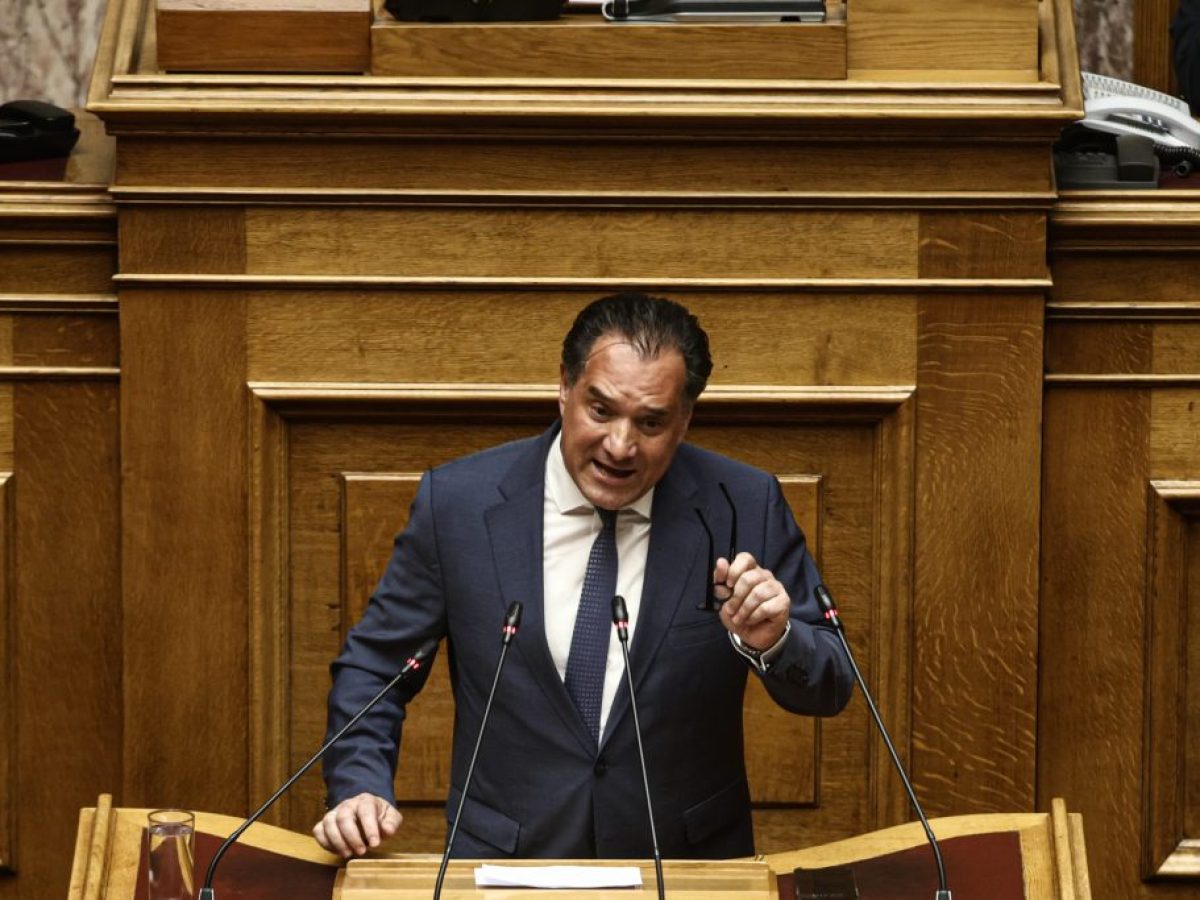 Νέα επίθεση Γεωργιάδη σε αγρότες: Τα μπλόκα είναι αηδία, παρανομία και φασισμός – «Πρέπει να κοπούν όλες οι επιδοτήσεις»