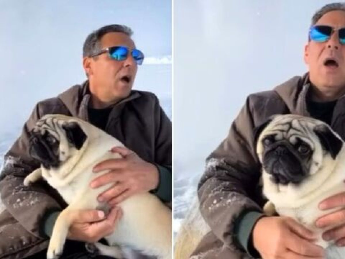 Ο Πάνος Καμμένος στα… χιόνια με τον σκύλο του ειρωνεύεται τους Ευρωπαίους για τη Γροιλανδία – Δείτε το βίντεο ΑΙ που ανέβ