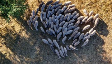 Ολοκληρώθηκε η σύσκεψη στο Μαξίμου για την ευλογιά – 10 ερωτήσεις και απαντήσεις