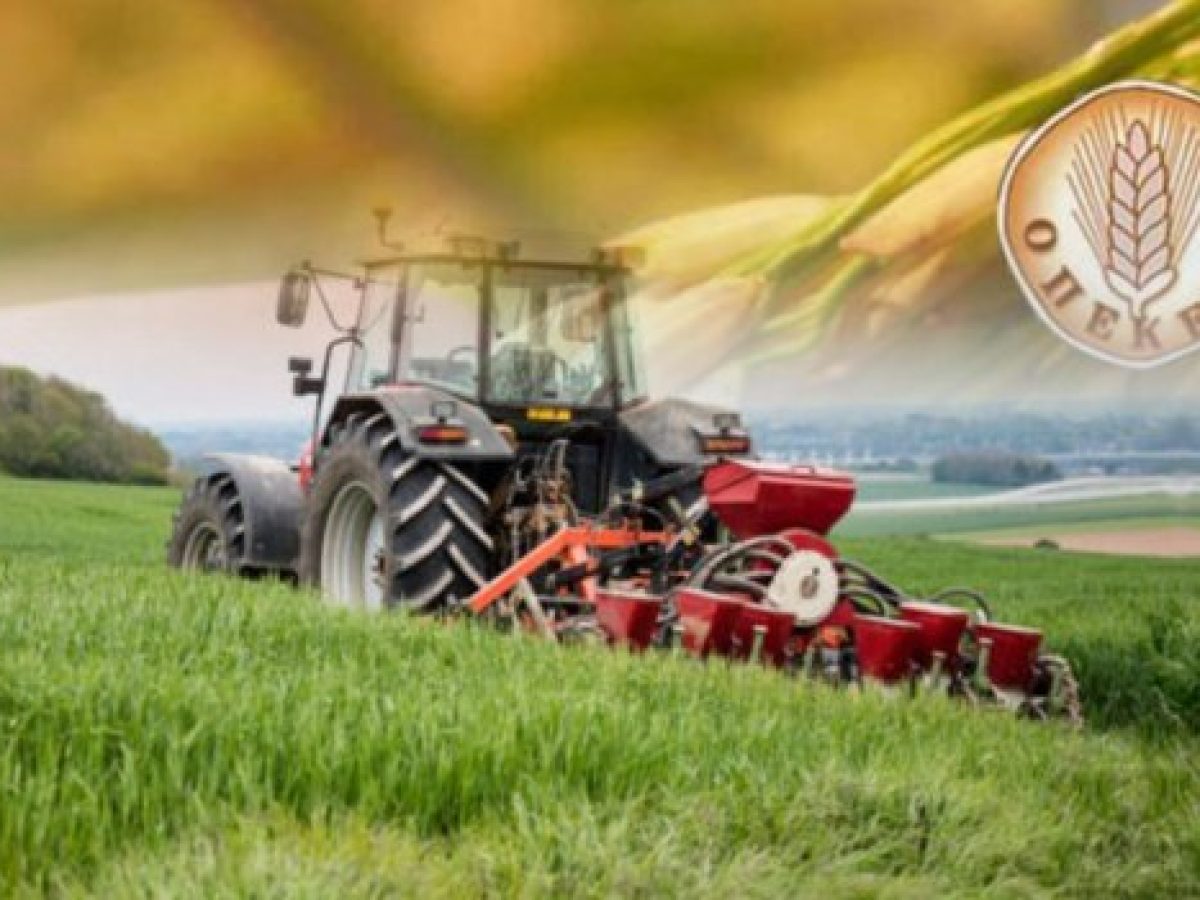 ΟΠΕΚΕΠΕ: Ευτελισμός διαρκείας από πλευράς ΝΔ που επιχειρεί να κλείσει άρον, άρον την εξεταστική