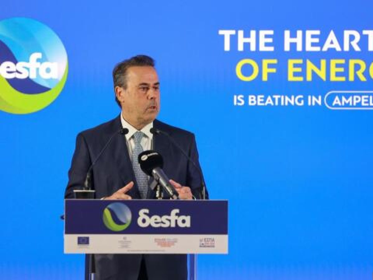 Παπασταύρου: Η Ελλάδα συνιστά έναν σταθερό, ενεργειακό κόμβο μεταξύ Ανατολής και Δύσης