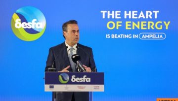 Παπασταύρου: Η Ελλάδα συνιστά έναν σταθερό, ενεργειακό κόμβο μεταξύ Ανατολής και Δύσης