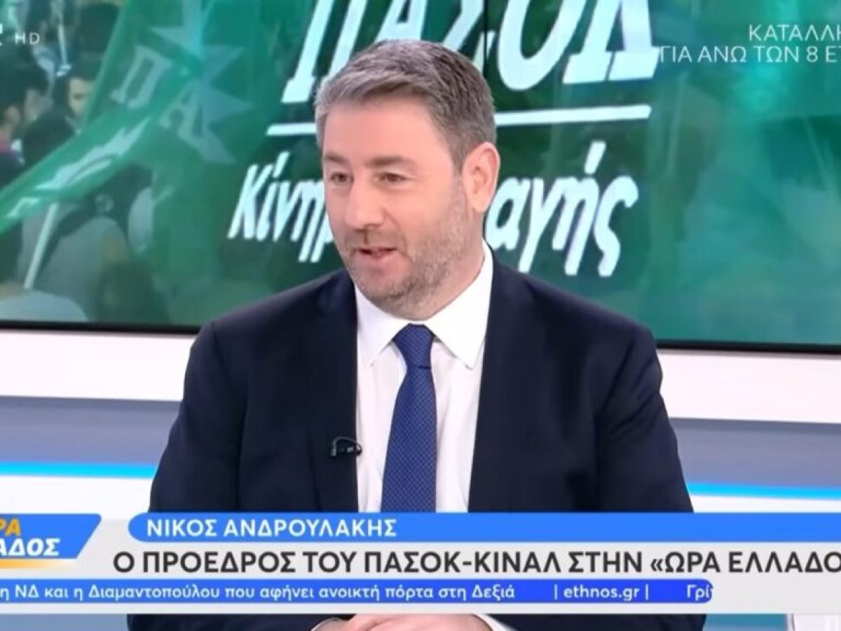 Ανδρουλάκης: Η παραδοχή για τη στασιμότητα του ΠΑΣΟΚ και το αίτημα για την παραίτηση Φλωρίδη