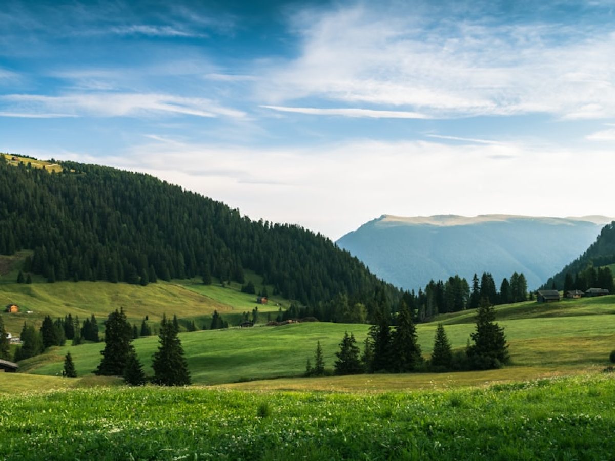 Γιατί οι Δυτικο-Ευρωπαίοι βλέπουν τόσο ρομαντικά τις αριστερές ιδεολογίες;