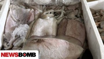 &Chi;&alpha;&rho;&delta;&alpha;&lambda;&iota;ά&sigmaf;: &laquo;&Delta;&epsilon;&nu; &sigma;&tau;&alpha;&mu;&alpha;&tau;ά&mu;&epsilon;, &eta; &pi;&rho;&omicron;&sigma;&tau;&alpha;&sigma;ί&alpha; &tau;&eta;&sigmaf; &delta;&eta;&mu;ό&sigma;&iota;&alpha;&sigmaf; &upsilon;&gamma;&epsilon;ί&alpha;&sigmaf; &delta;&epsilon;&nu; &epsilon;ί&nu;&alpha;&iota; &delta;&iota;&alpha;&pi;&rho;&alpha;&gamma;&mu;&alpha;&tau;&epsilon;ύ&sigma;&iota;&mu;&eta;&raquo;