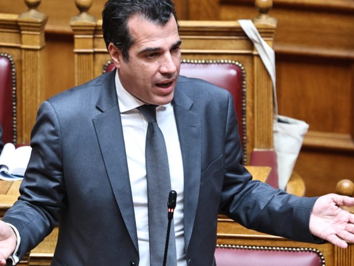 Πλεύρης: Πολιτική επιλογή της κυβέρνησης η επανεξέταση των ασύλων, παρακολουθώ την υπόθεση Ασλάμ