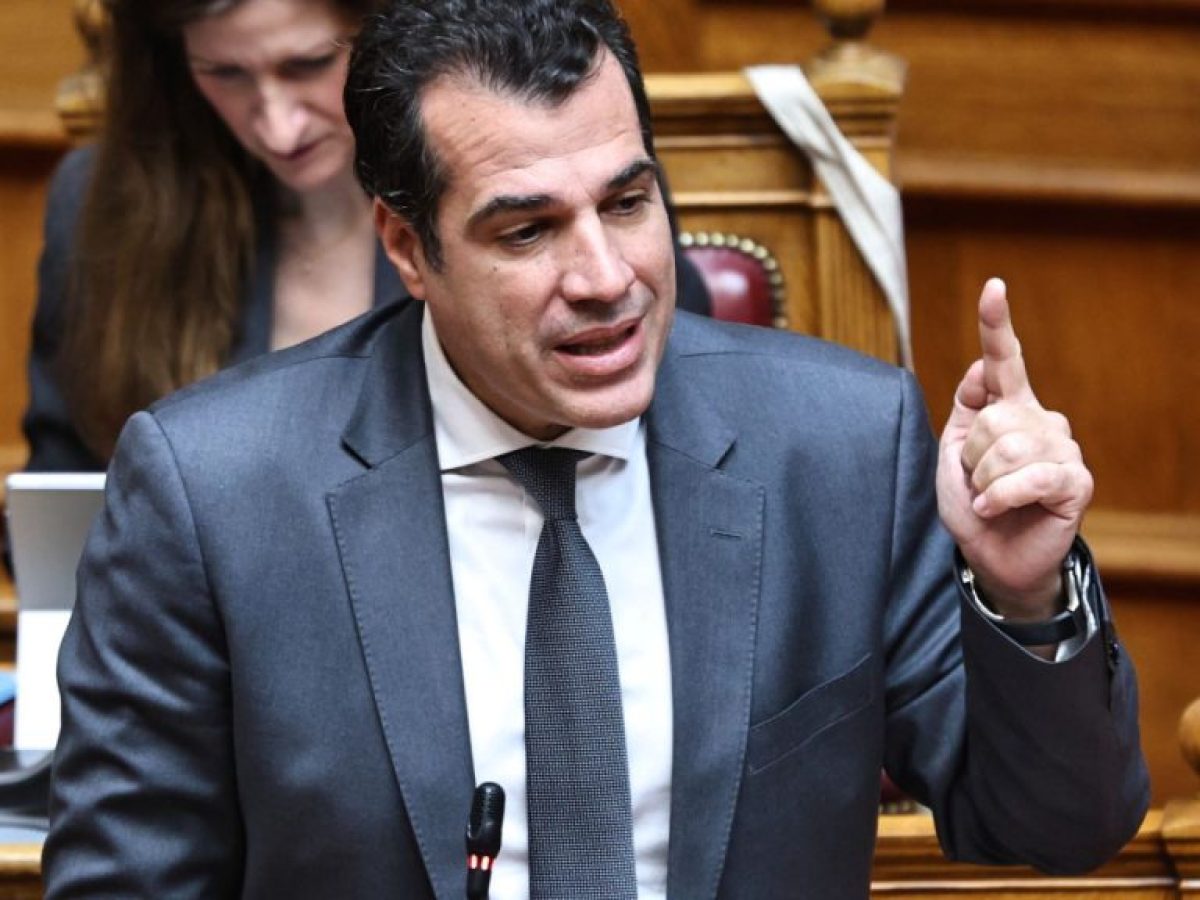 Πλεύρης: Θα έχουμε περισσότερες από 1.000 ανακλήσεις ασύλου μέχρι τον Ιούνιο