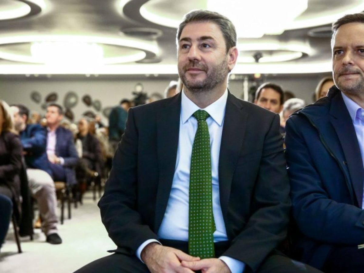 Ραντεβού στα όργανα δίνει ο Ανδρουλάκης με την εσωκομματική του αντιπολίτευση