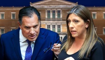 &Sigma;&phi;&omicron;&delta;&rho;ή &alpha;&nu;&tau;&iota;&pi;&alpha;&rho;ά&theta;&epsilon;&sigma;&eta; &Gamma;&epsilon;&omega;&rho;&gamma;&iota;ά&delta;&eta;, &Kappa;&omega;&nu;&sigma;&tau;&alpha;&nu;&tau;&omicron;&pi;&omicron;ύ&lambda;&omicron;&upsilon;: &Eta; &laquo;&kappa;ό&tau;&alpha;&raquo;, &eta; &Beta;&iota;&omicron;&lambda;ά&nu;&tau;&alpha; &kappa;&alpha;&iota; &eta; &mu;ή&nu;&upsilon;&sigma;&eta;