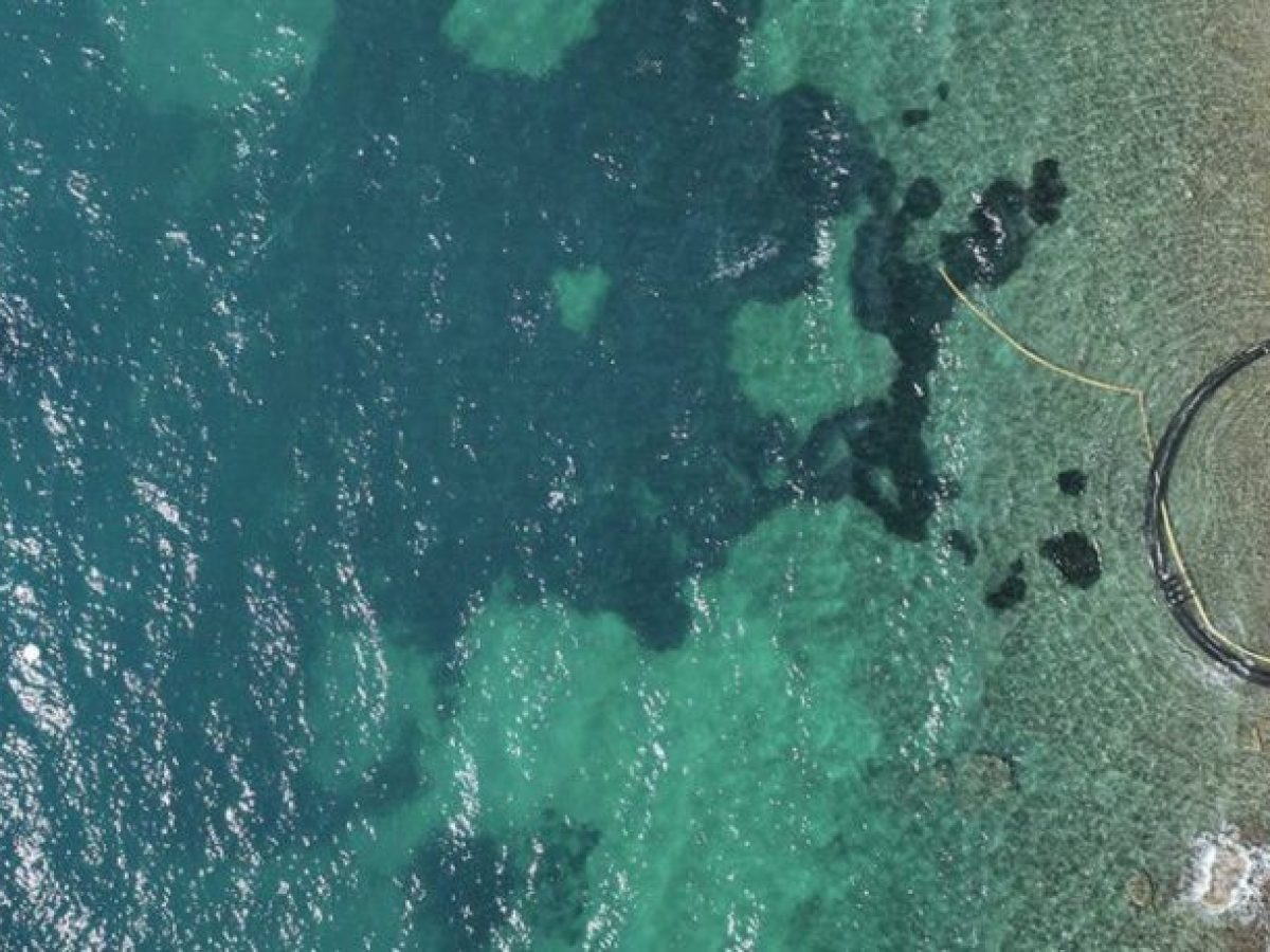 Τα “φαντάσματα της τσιπούρας” μολύνουν τις θάλασσες