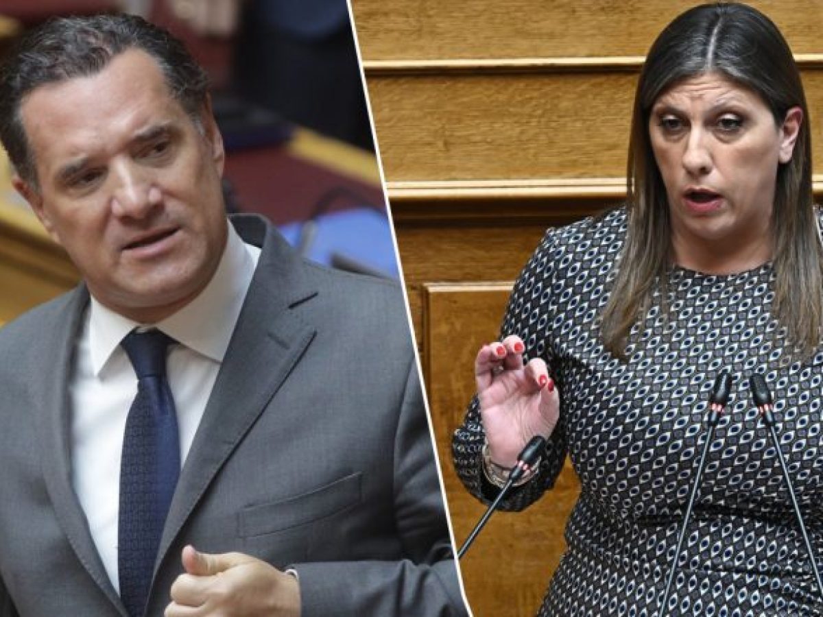 Άδωνις Γεωργιάδης: Κατέθεσε μήνυση σε βάρος της Ζωής Κωνσταντοπούλου