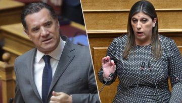 Άδωνις Γεωργιάδης: Κατέθεσε μήνυση σε βάρος της Ζωής Κωνσταντοπούλου