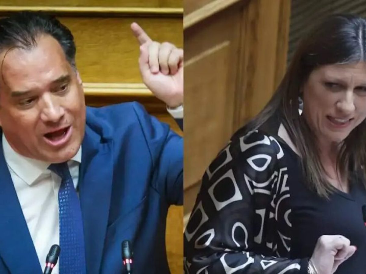 Άδωνις Γεωργιάδης: Νέα επίθεση στη Ζωή Κωνσταντοπούλου αλλά και την Τζώρτζια Κεφαλά για «αριστερή υποκρισία»