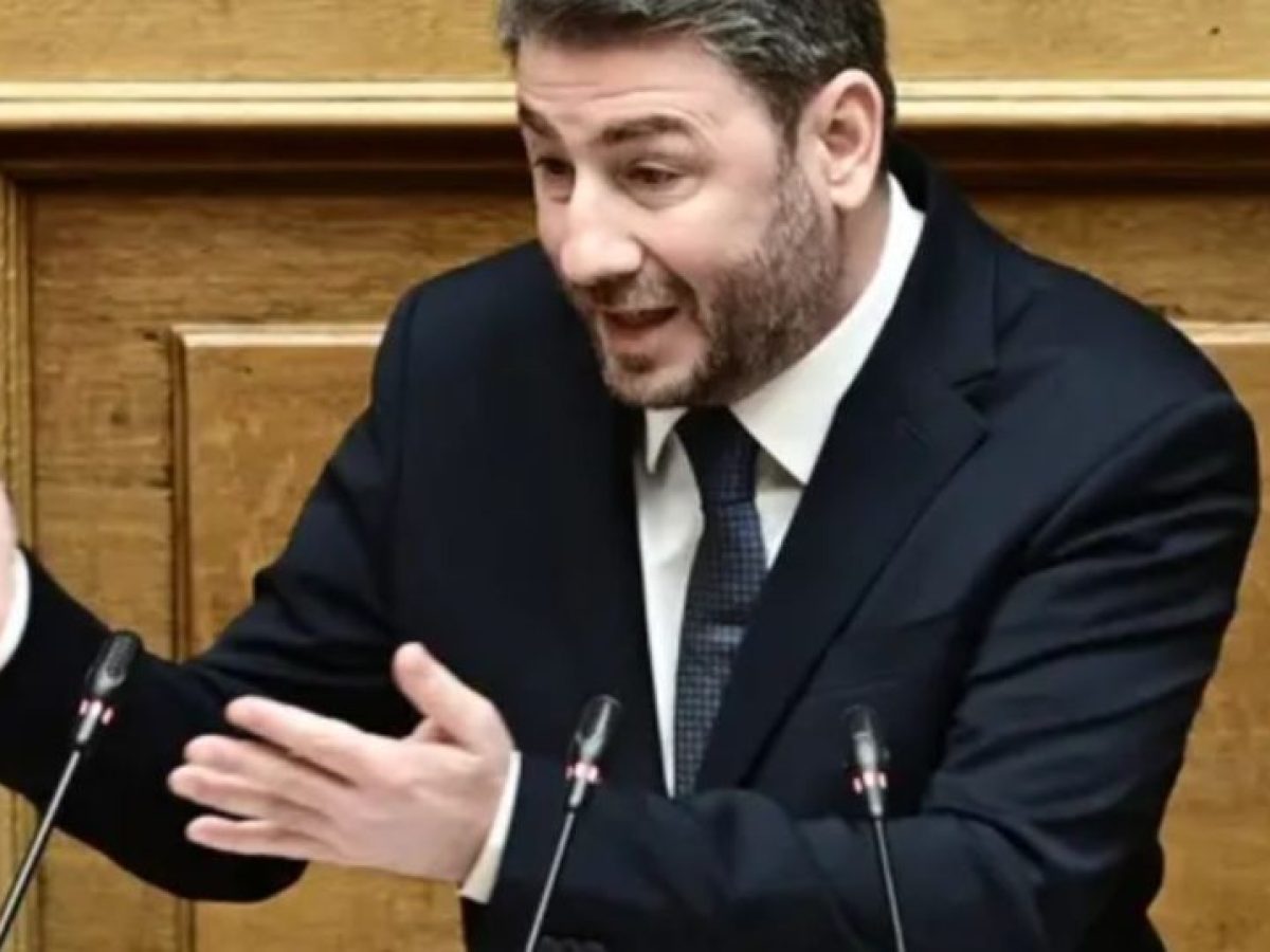 Ανδρουλάκης στη Βουλή: Η Κυβέρνηση «καίει» τους πολίτες με τη δική της ενεργειακή πολιτική!