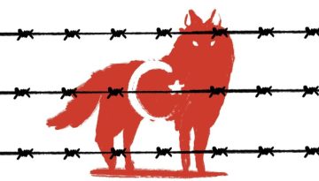 Από πρόσφυγας, εθνικός κίνδυνος! Οι ελληνικές αρχές ανακαλούν τις άδειες διαμονής των Τούρκων γκιουλενιστών