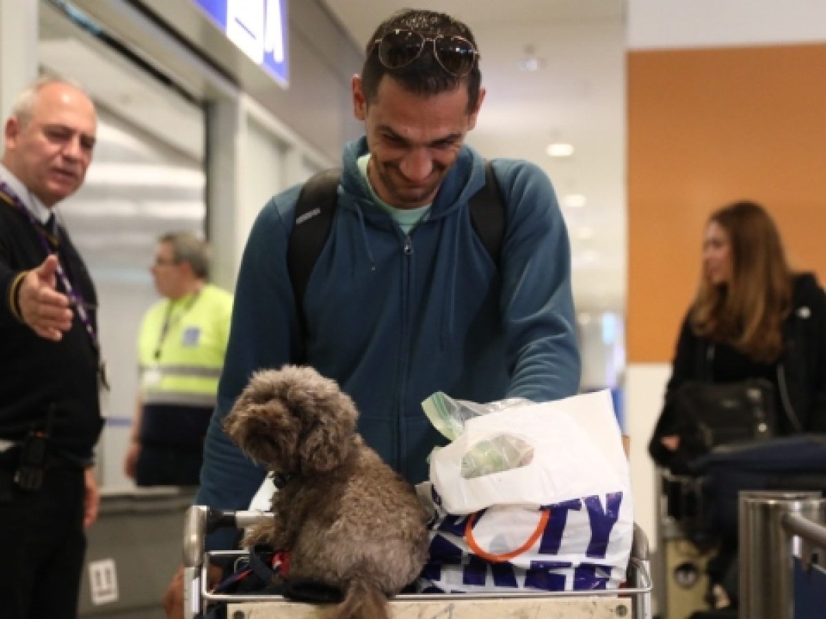 YΠΕΞ: Πάνω από 2.000 Έλληνες και 45 κατοικίδια επέστρεψαν από την εμπόλεμη ζώνη στη Μέση Ανατολή