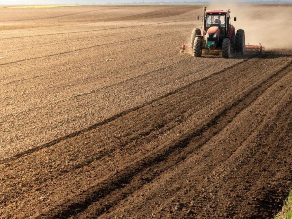 Εκτός από πετρέλαιο και φυσικό αέριο υπάρχουν και τα… λιπάσματα