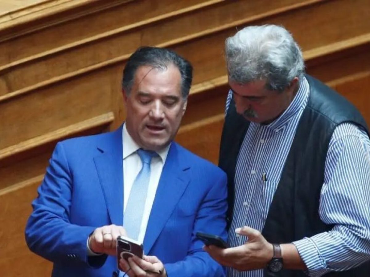 Ο Άδωνις Γεωργιάδης δημοσιεύει μήνυμα του Παύλου Πολάκη στον Κώστα Ζαχαριάδη