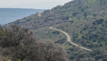 &Pi;&Alpha;&Sigma;&Omicron;&Kappa;: &Alpha;&pi;έ&tau;&upsilon;&chi;&epsilon; &tau;&omicron; &upsilon;&pi;&omicron;&upsilon;&rho;&gamma;&epsilon;ί&omicron; &Alpha;&gamma;&rho;&omicron;&tau;&iota;&kappa;ή&sigmaf; &Alpha;&nu;ά&pi;&tau;&upsilon;&xi;&eta;&sigmaf; &ndash; &Eta; &kappa;&upsilon;&beta;έ&rho;&nu;&eta;&sigma;&eta; &alpha;&phi;ή&nu;&epsilon;&iota; &alpha;&pi;&rho;&omicron;&sigma;&tau;ά&tau;&epsilon;&upsilon;&tau;&eta; &tau;&eta;&nu; &epsilon;&lambda;&lambda;&eta;&nu;&iota;&kappa;ή &kappa;&tau;&eta;&nu;&omicron;&tau;&rho;&omicron;&phi;ί&alpha;