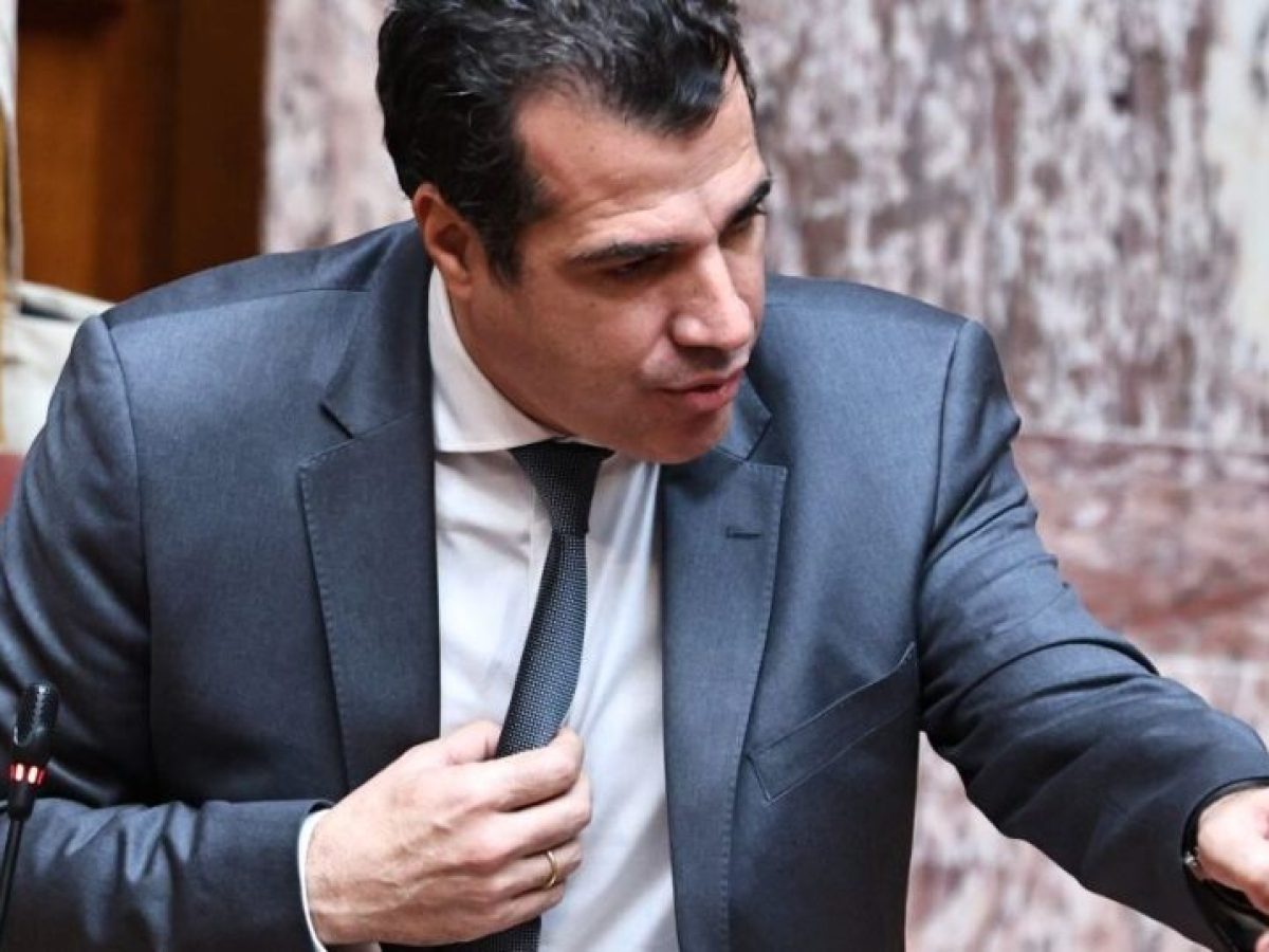 Πλεύρης: «Να μιλήσουμε ανοιχτά για προστασία συνόρων με αποτροπή και όχι μόνο με search and rescue»