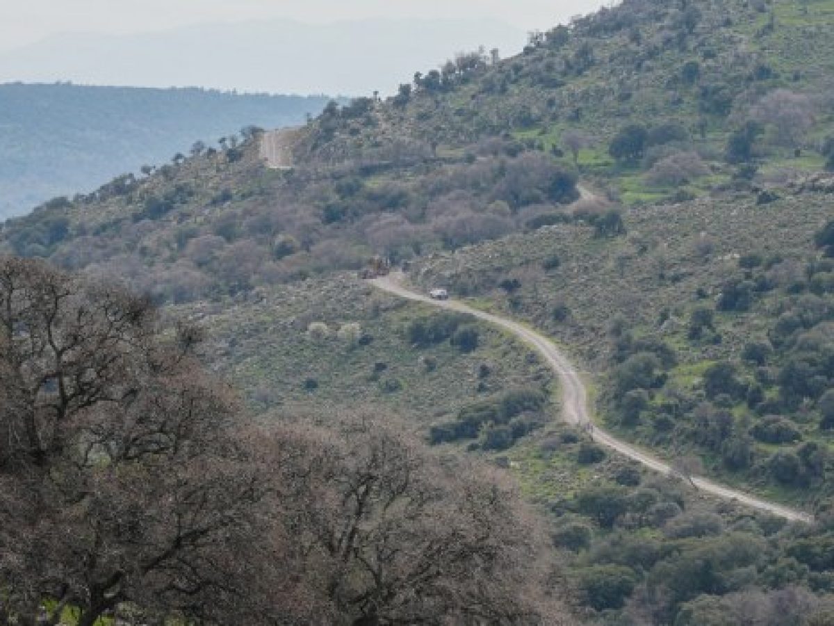 ΠΑΣΟΚ: Απέτυχε το υπουργείο Αγροτικής Ανάπτυξης – Η κυβέρνηση αφήνει απροστάτευτη την ελληνική κτηνοτροφία