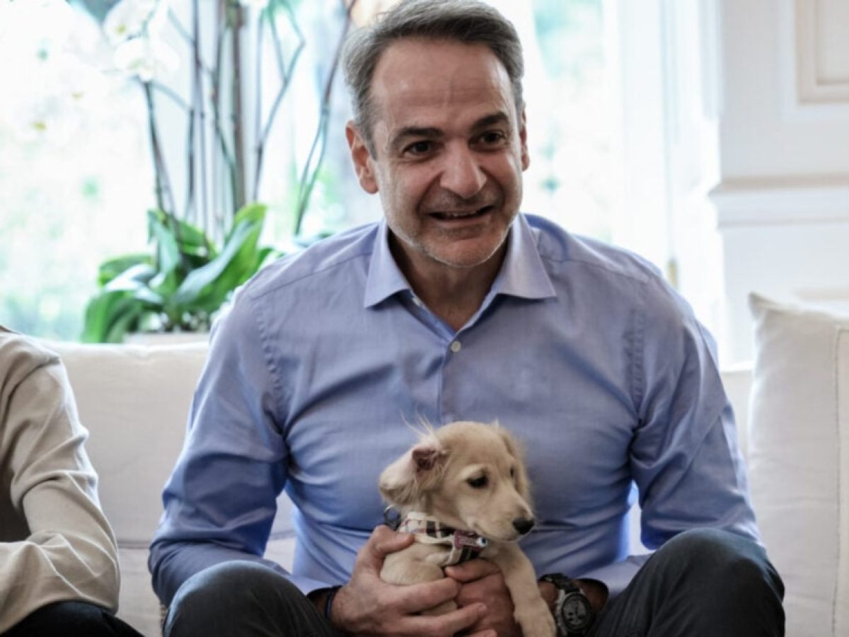 Συνάντηση Μητσοτάκη με επαναπατρισθέντες από τον Κόλπο και τους τετράποδους φίλους τους