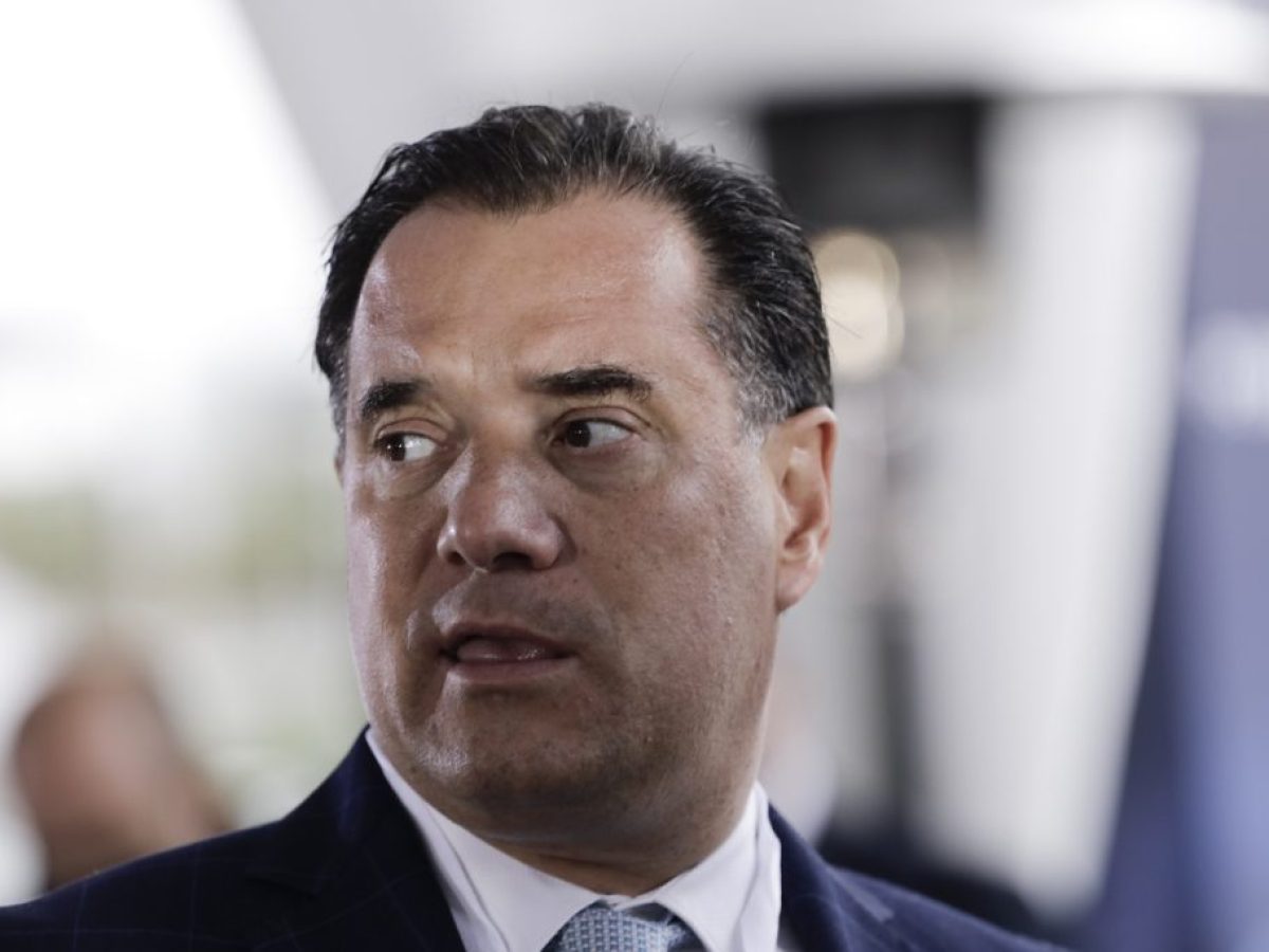 Άδωνις για Ρούτσι: «Πολιτικά υποκινούμενη η απεργία πείνας από τη Ζωή Κωνσταντοπούλου»