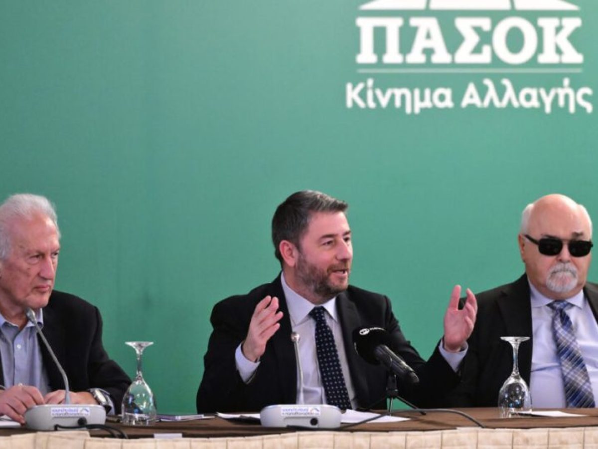 Ανδρουλάκης στην Επιτροπή Διεύρυνσης: Όλοι μαζί θα δώσουμε τον αγώνα της πολιτικής αλλαγής