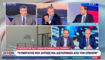 Κεφαλογιάννης για ΟΠΕΚΕΠΕ: “Στη δική μου περίπτωση υπάρχει μηδενική ζημιά του Δημοσίου, δεν υπάρχει κανέν