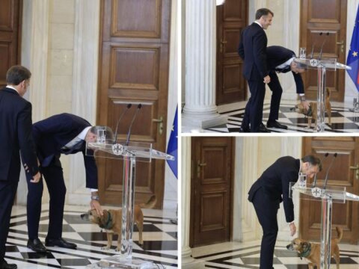 Κυριάκος Μητσοτάκης και Εμανουέλ Μακρόν συναντήθηκαν στο Μέγαρο Μαξίμου, αλλά ο Πίνατ… μαγνήτισε τα βλέμματα (Εικόνες)