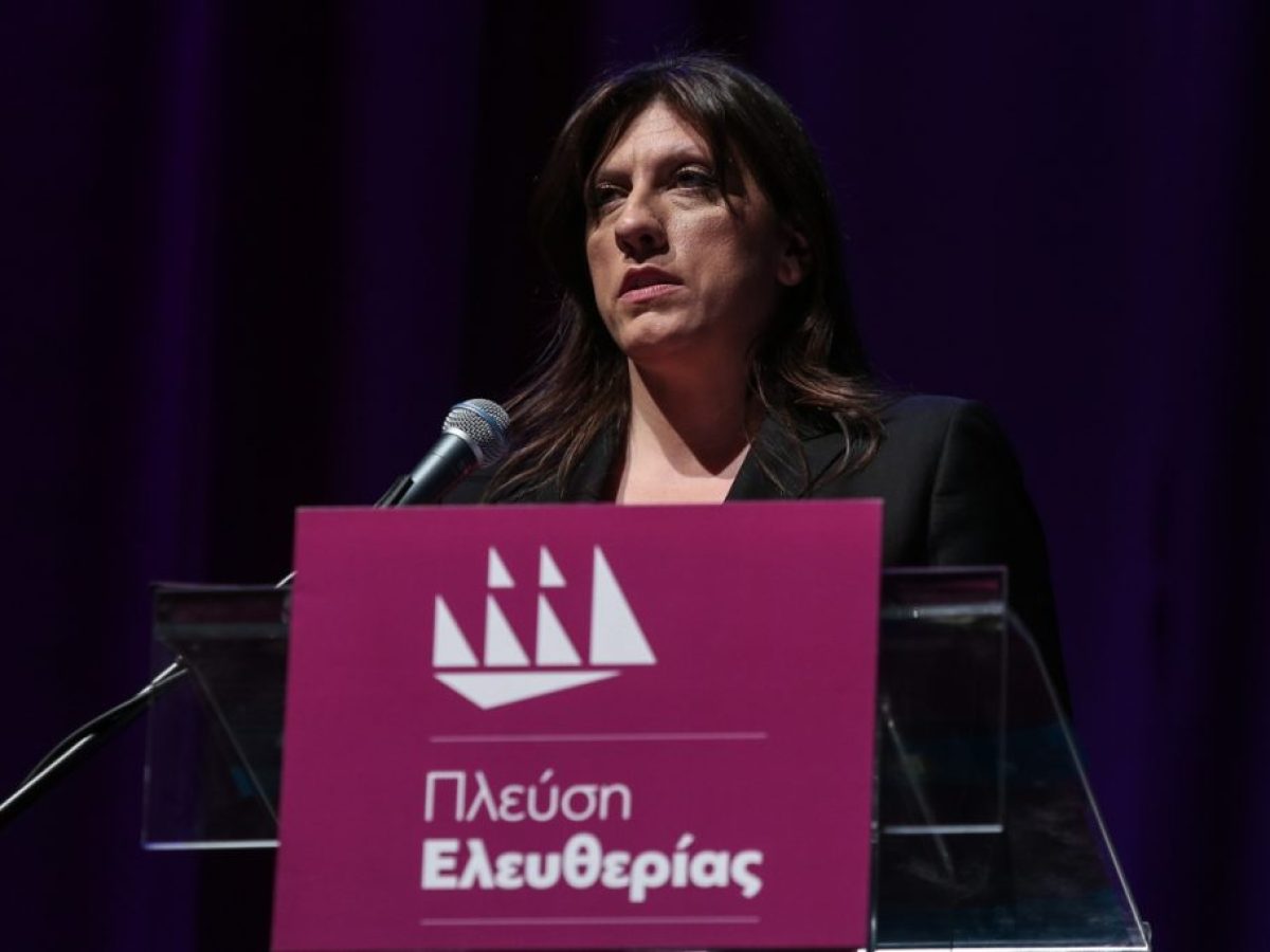 Κωνσταντοπούλου: Καταγγελίες για αστυνομική βία κατά του Πάνου Ρούτσι