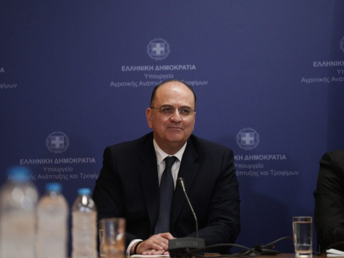 Νέα Αριστερά για Λαζαρίδη: «Πανηγύριζε ως “απόφοιτος δημόσιου ΑΕΙ” για τη διαγραφή των “αιώνιων φοιτητών”»