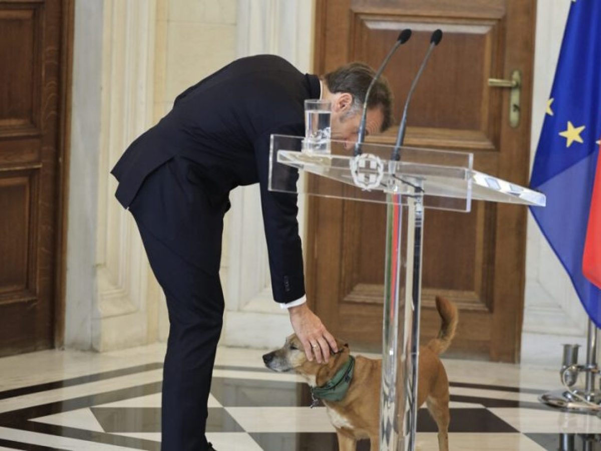 Ο Εμανουέλ Μακρόν γνώρισε τον Πίνατ – Φωτογραφίες από τα χάδια και τα παιχνίδια με τον σκύλο του Κυριάκου Μητσοτάκη