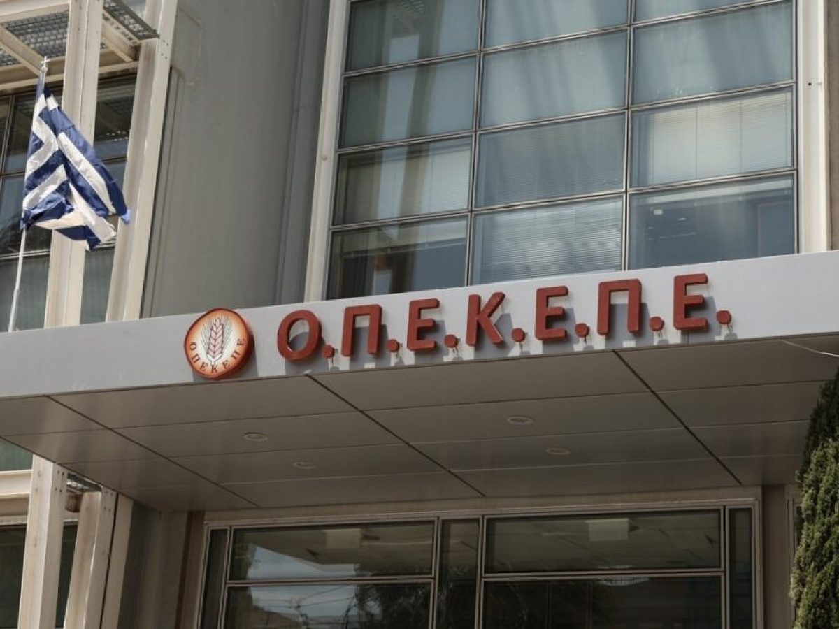 &Omicron;&Pi;&Epsilon;&Kappa;&Epsilon;&Pi;&Epsilon;: Ά&rho;&sigma;&eta; &alpha;&sigma;&upsilon;&lambda;ί&alpha;&sigmaf; 11 &beta;&omicron;&upsilon;&lambda;&epsilon;&upsilon;&tau;ώ&nu; &zeta;&eta;&tau;ά &eta; &Epsilon;&upsilon;&rho;&omega;&pi;&alpha;ϊ&kappa;ή &Epsilon;&iota;&sigma;&alpha;&gamma;&gamma;&epsilon;&lambda;ί&alpha;