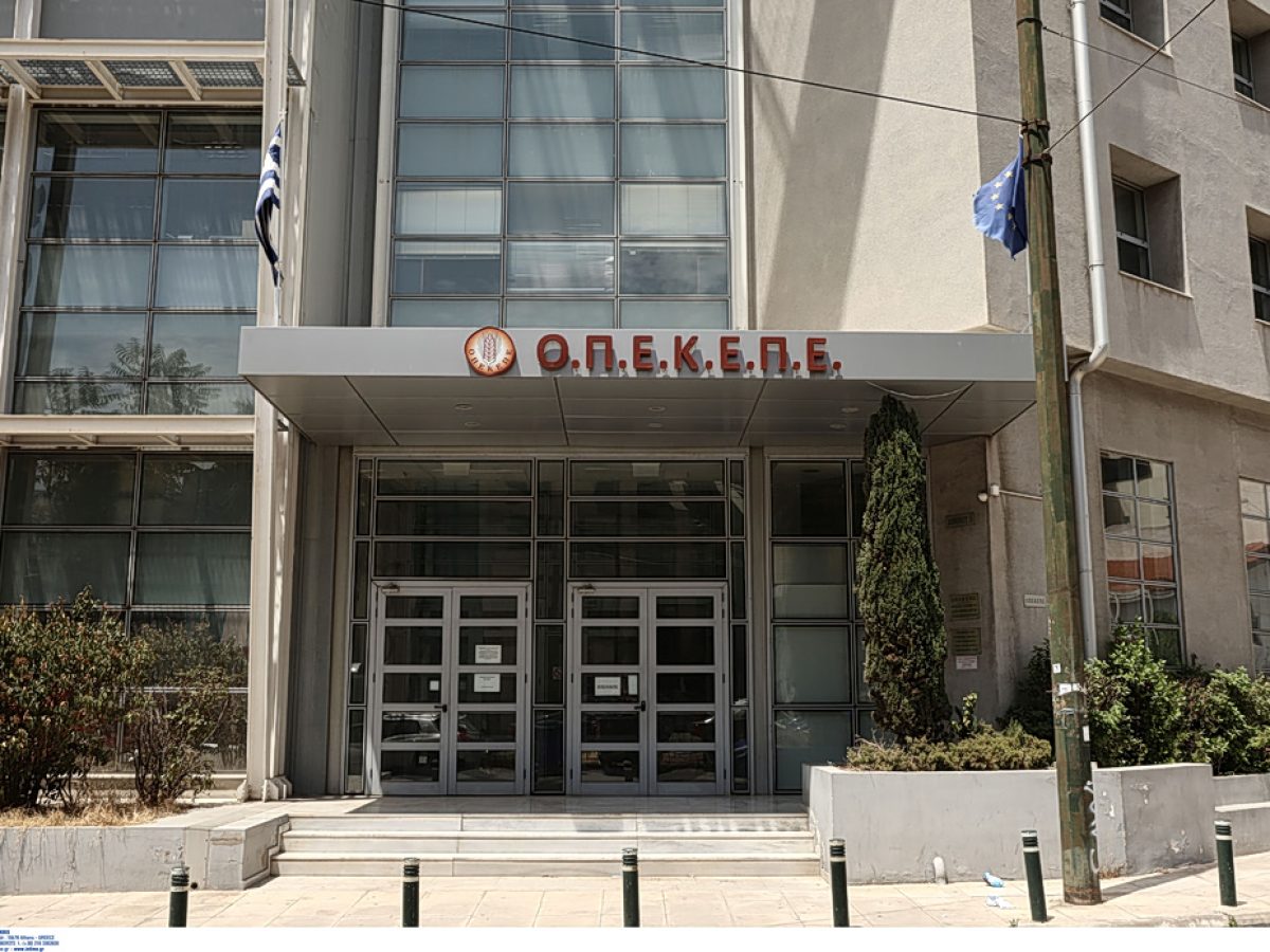 ΟΠΕΚΕΠΕ: Το «κατηγορώ» για τους 11 «γαλάζιους» βουλευτές
