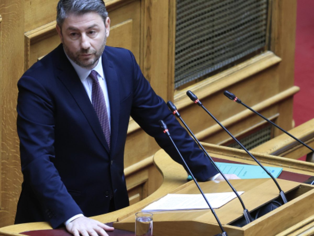 Παρέμβαση Ανδρουλάκη στη Βουλή